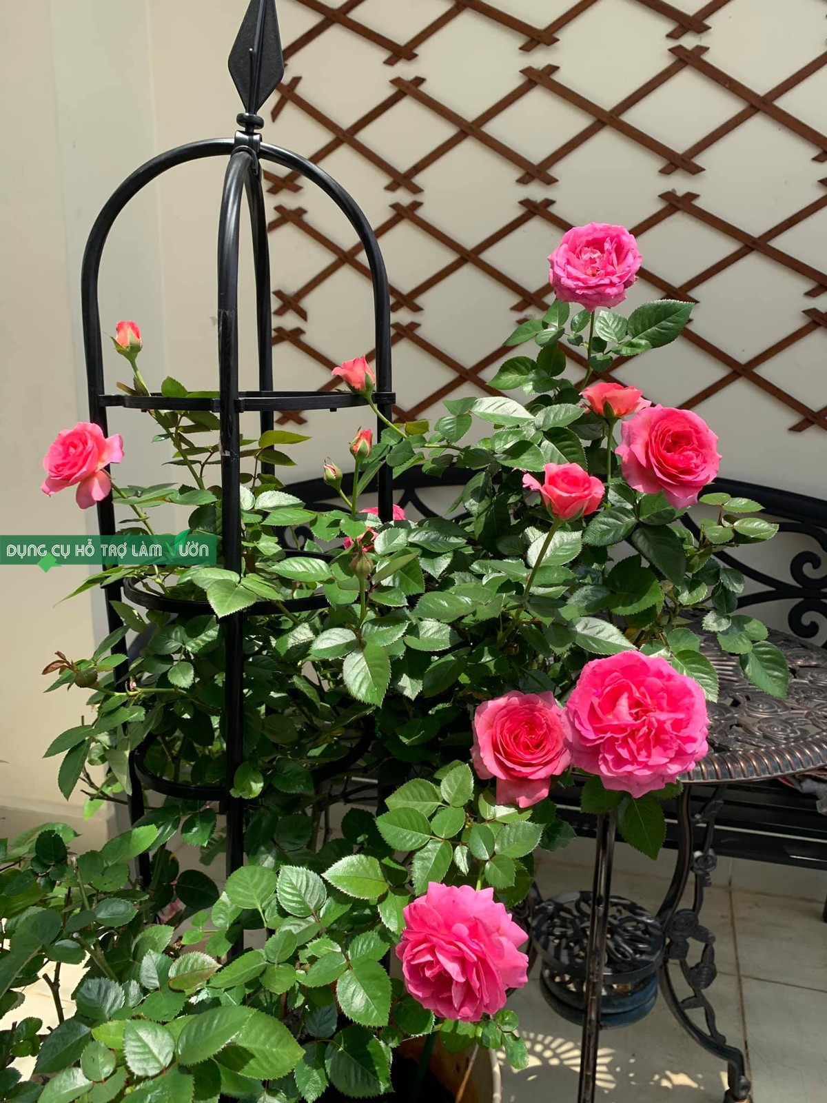 Khung trồng cây cao 120cm 3 vòng đường kính 21cm chuyên dùng trồng cây hoa