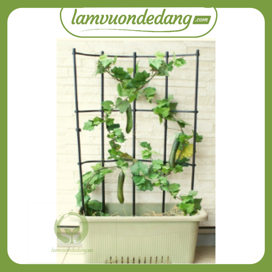 [HCM]KHUNG TRỒNG CÂY ĐA NĂNG - Hàng chính hãng Nhật Bản - Có thể tạo thành khung đỡ hình tròn giàn leo hoa hồng giàn chữ A