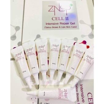 Tế bào gốc znsp