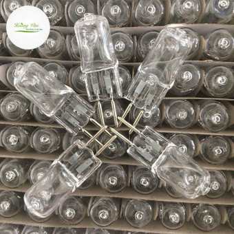 Bóng đèn halogen 220v 35w xông tinh dầu gia 1 chiếc