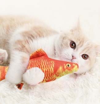 Đồ chơi con cá nhồi bông cho chó mèo