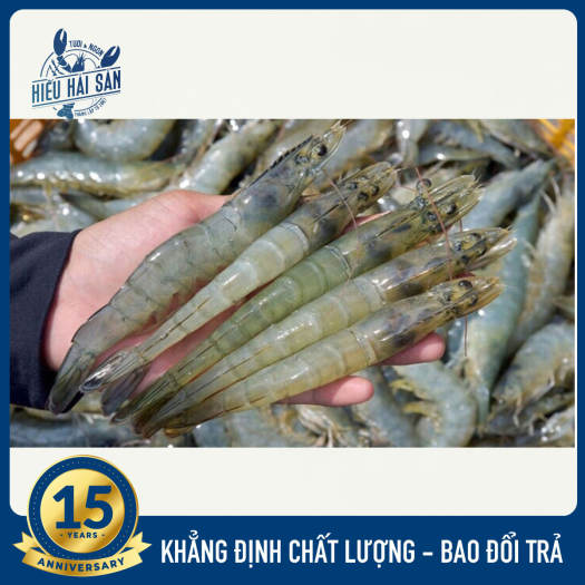 tôm thẻ tươi sống. Size 30-40 con/kg