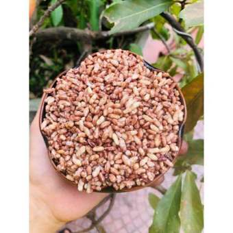 CỐM GẠO LỨT RANG 500G