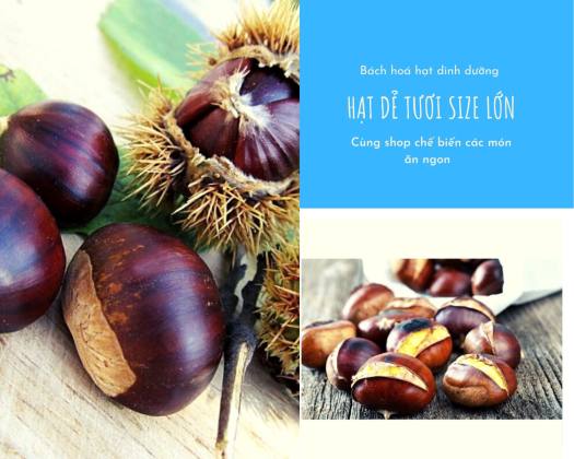 HẠT DẺ NGON Hạt Dẻ tươi sống chế biến các món ăn ngon dinh dưỡng. Đồ ăn vặt