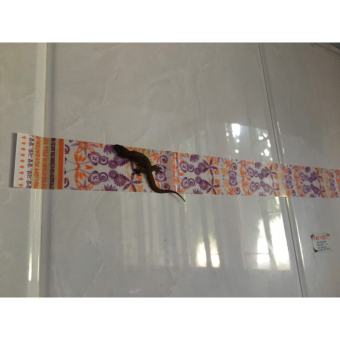 1 Miếng keo bẫy thằn lằn bẫy ruồi keo dính thạch sùng tắc kè keo dính thằn lằn