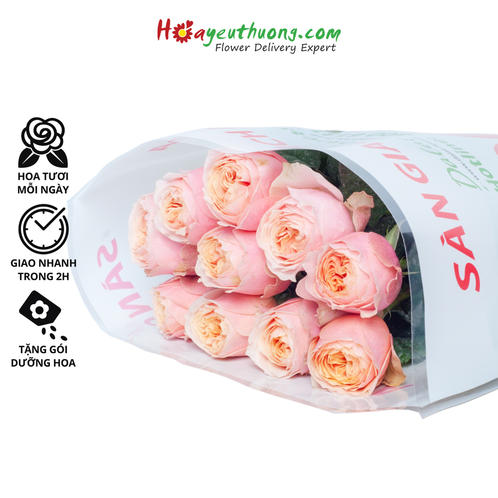 Hoa Hồng Juliet Hoayeuthuong - hoa tươi Đà Lạt trang trí nhà cửa, văn phòng