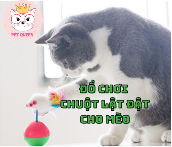 Banh lật đật chuột lông vũ cho mèo | bóng đồ chơi chó mèo