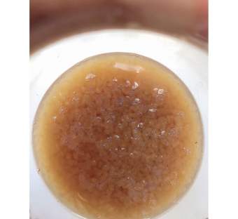 nấm nước kefir tặng rây lọc 20k và bình thủy tinh 700ml 20k