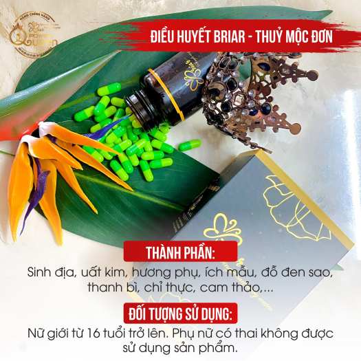 VIÊN ĐIỀU HUYẾT THUỶ MỘC ĐƠN BRIAR Tặng 1 viên đặt Briar pk