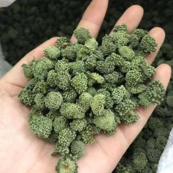 Nụ Hoa Tam Thất Bao Tử (Nụ Không Chân 500gr)