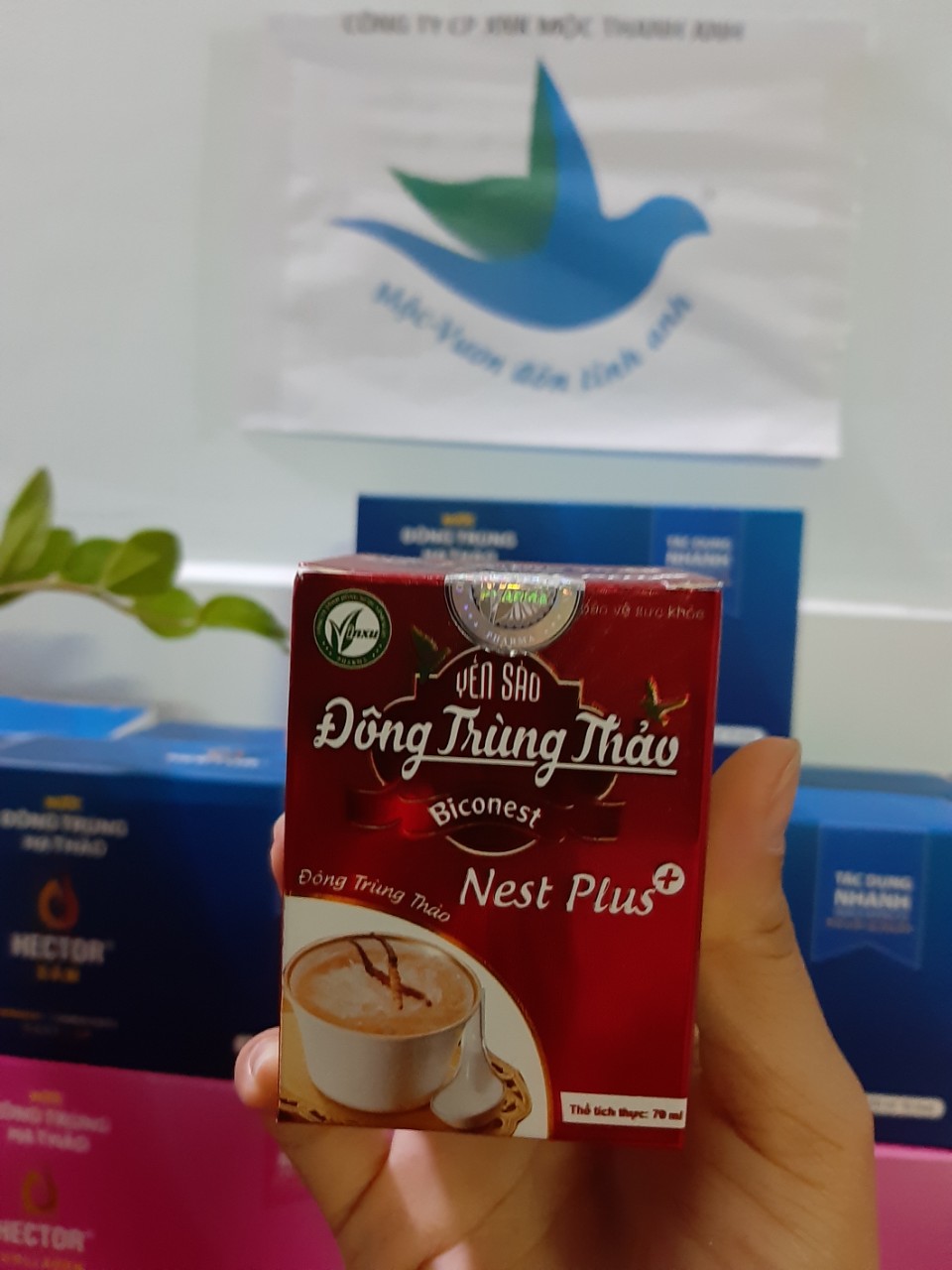 Yến sào đông trùng hạ thảo - lốc 6 hủ tiết kiệm