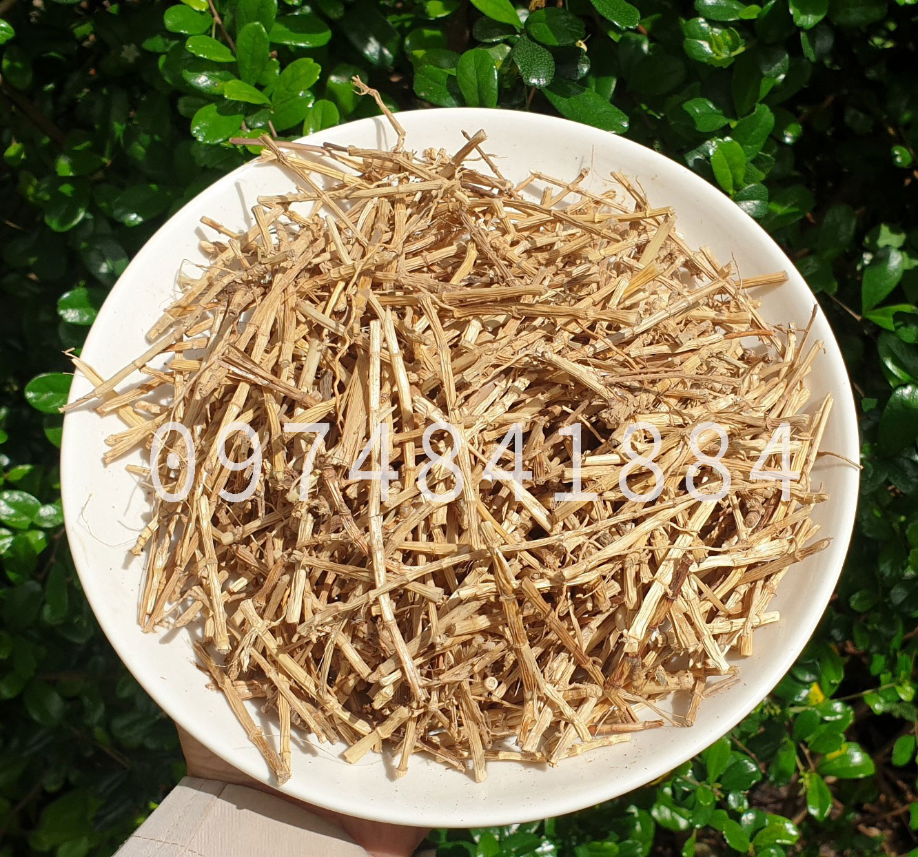 Rễ tranh nấu sâm 300g/500g/1kg - rễ cỏ tranh