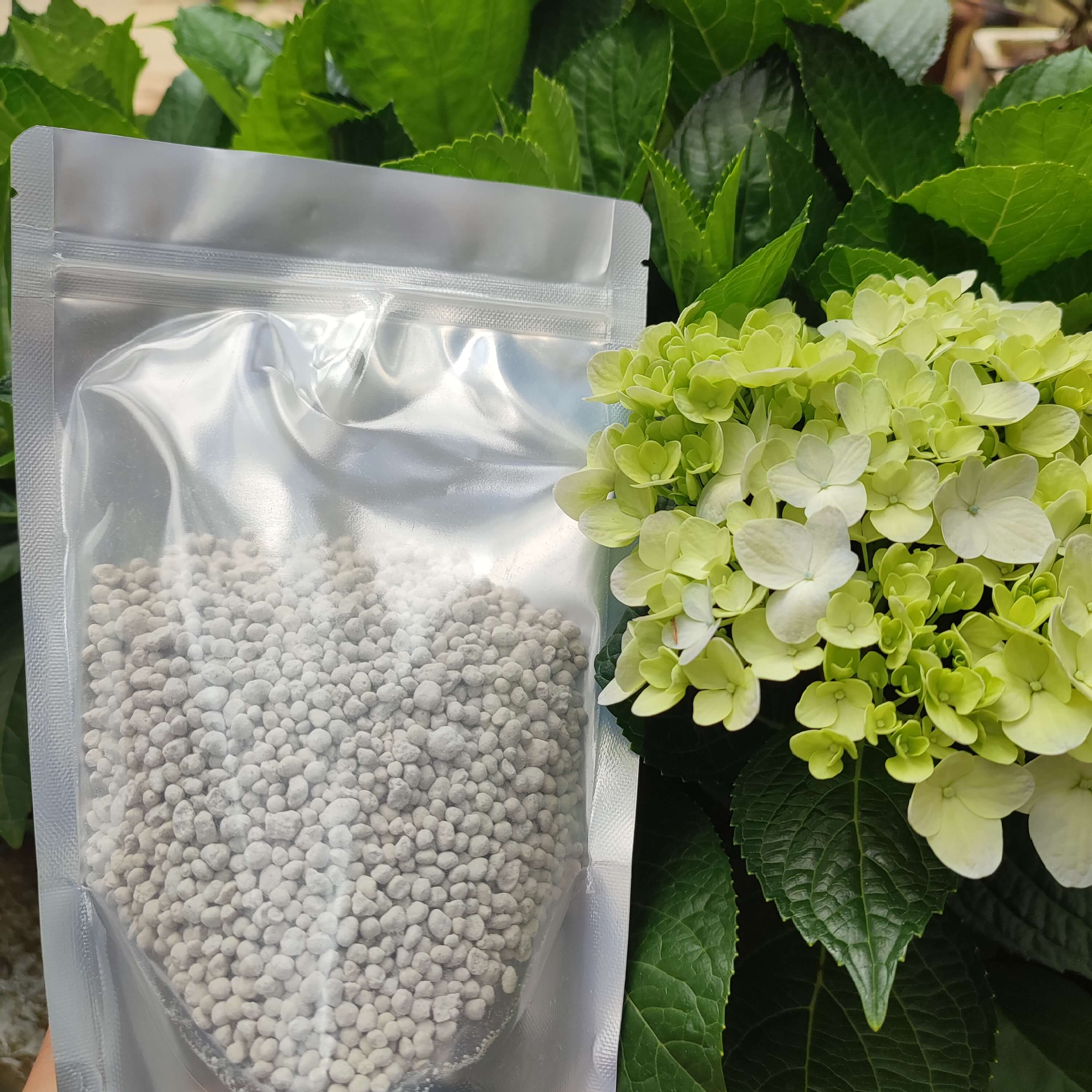 Phân bón kali 500gr ( phân bón cho hoa hồng, phân bón cây cảnh, phân bón rau hoa bổ sung dinh dưỡng )