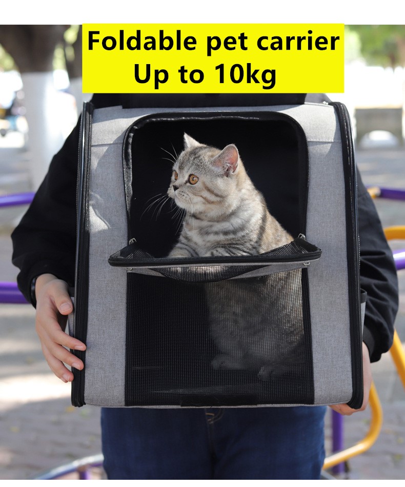 cat carrier cost