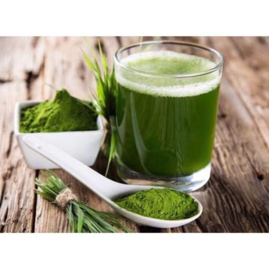 Bột trà lúa non Grass Barley Nhật Bản