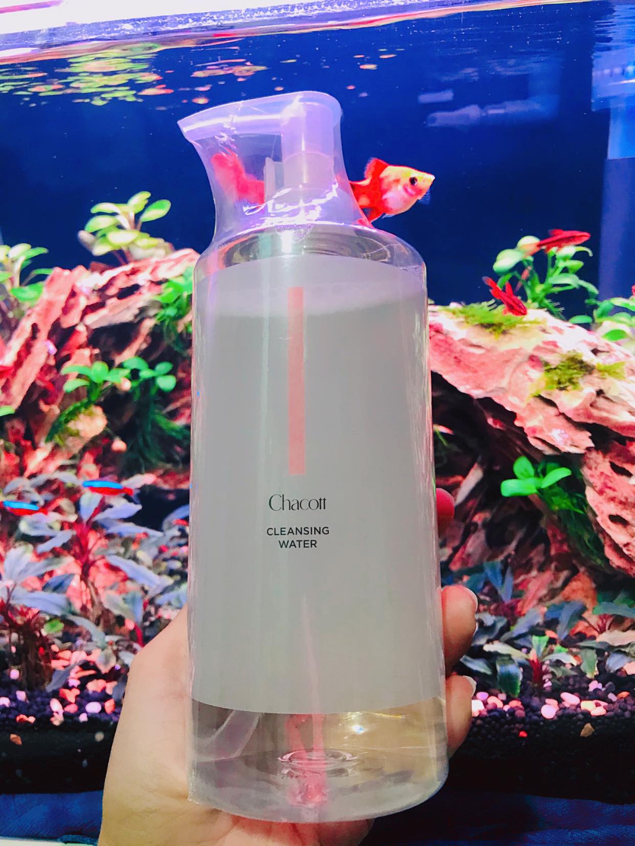 Nước tẩy trang chacott