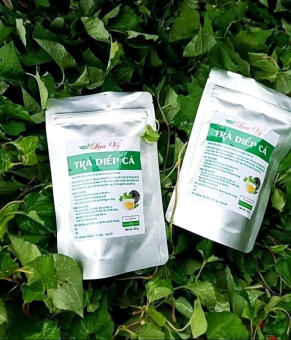 trà Diếp cá Lụa Vy