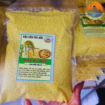 Hạt kê nếp vàng tách vỏ loại 1, hạt kê cho bé ăn dặm. Hạt kê nếp vàng organic hữu cơ nấu chè, nấu xôi, làm bánh, sữa hạt