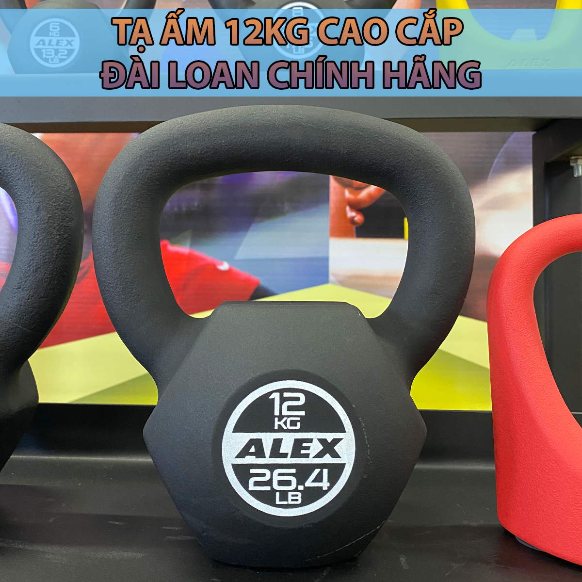 [ẢNH THẬT+VIDEO] Tạ Ấm Kettlebell 12Kg ALEX Cao Cấp, Gang Nguyên Khối Sơn Tĩnh Điện, Tạ Bình Vôi Tập Gym Squat