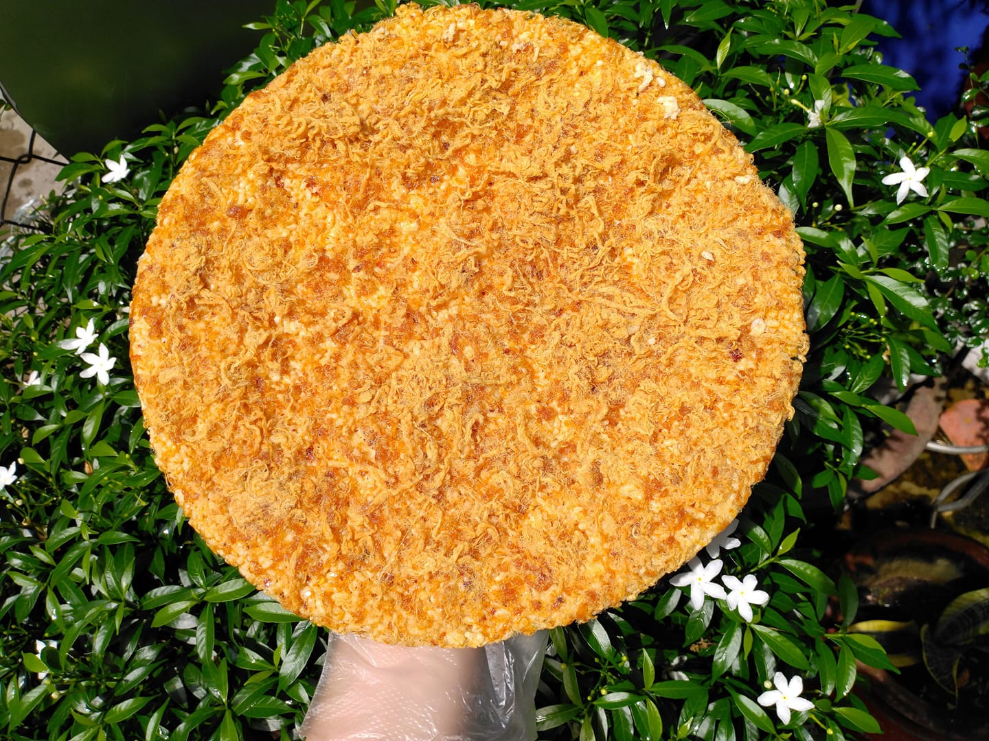 Cơm cháy đáy nồi siêu chà bông 500gr