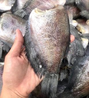 KHÔ CÁ SẶC RẰN( SẶC BỔI) ĐÃ BỎ ĐẦU ĐẶC SẢN CÀ MAU