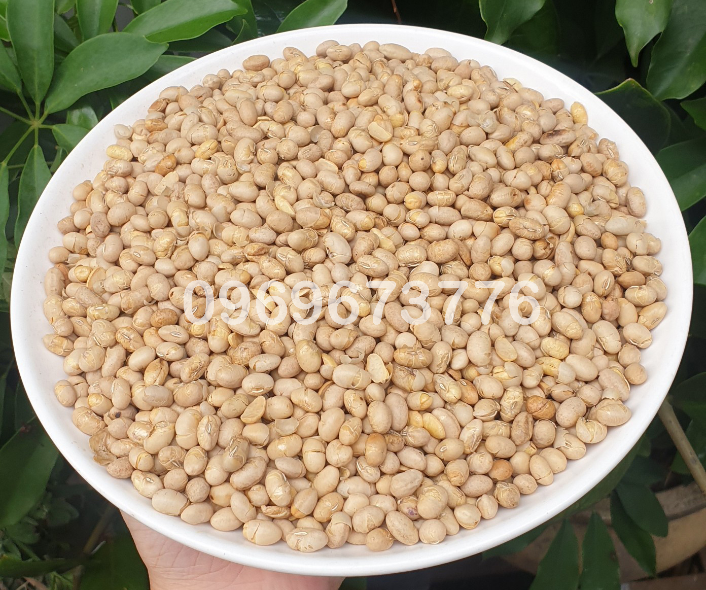 Đậu nành sấy giòn 1kg/ 500g/ 250g - đồ ăn văt - hạt sấy khô