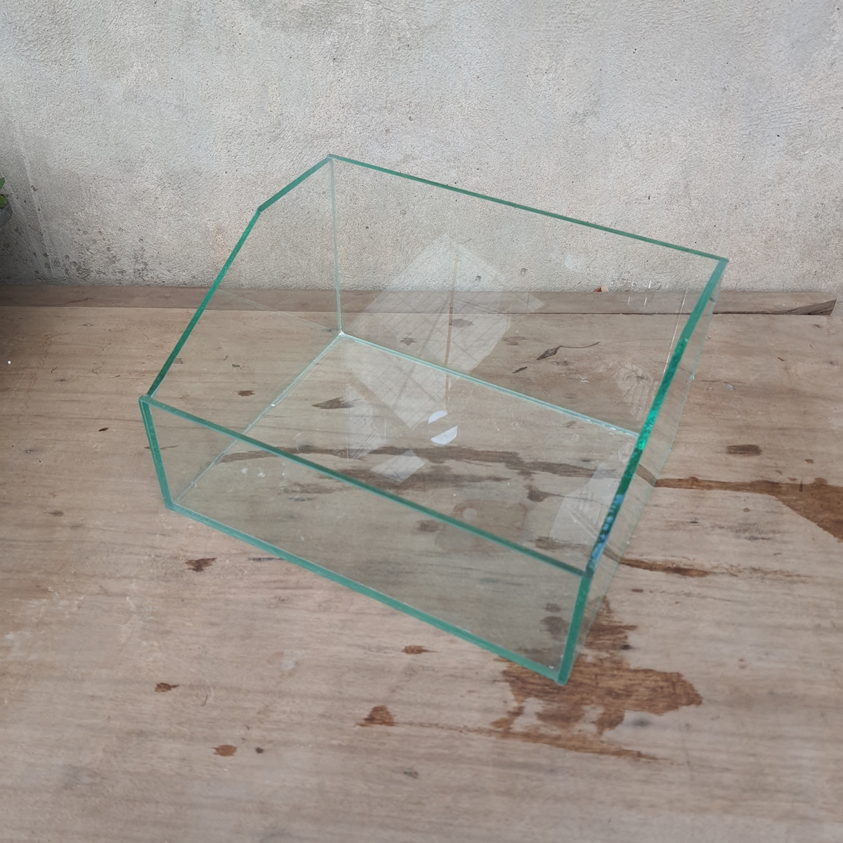 Bể bán cạn 27 x 21 cm, thiết kế đẹp, kính 5mm chắc chắn