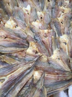 Khô cá ngát đặc sản siêu ngon