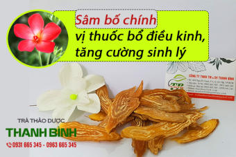 Sâm Bố Chính 100g Khô Hàng Cty- Thảo Dược Thanh Bình