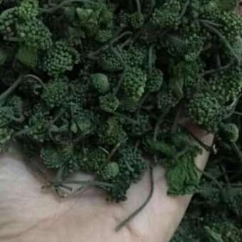 set 200g nụ hoa tam thất bao tử