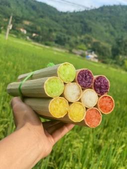 Set 5 ông cơm Lam ngũ sắc tây bắc 1kg (giao tphcm)