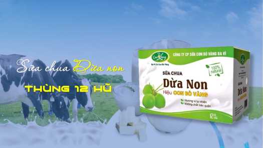 SỮA CHUA DỪA NON - CON BÒ VÀNG