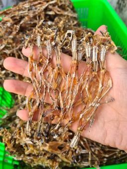 Khô nhái An Giang , vũ nữ chân dài,món ngon vạn người mê ,được bắt từ vùng Bảy Núi , dùng ăn cơm , mồi nhậu rất ngon