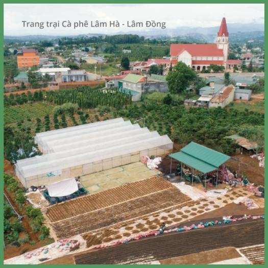 Cà phê phin Robusta Phúc Thọ gói 250gr, gu đắng đậm, rất mạnh, cà phê rang xay nguyên chất từ Laha Cafe