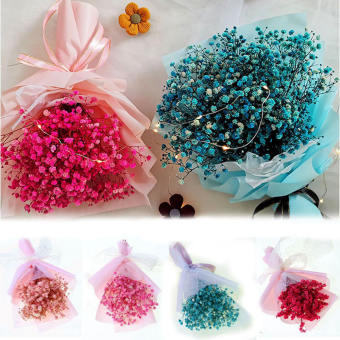 1 Bó Hoa Khô Mini Hoa Thật Hạnh Phúc Hoa Khô Nhỏ Tự Nhiên Máy Ép Hoa Khô Bó Hoa Quà Tặng Ảnh Chụp Ảnh Trang Trí Mini Backdrop Trang Trí Nội Thất