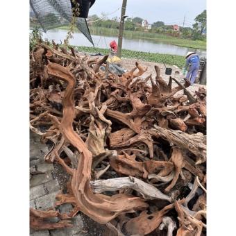 GỖ LŨA GHÉP LAN - LŨA SẦM ĐỎ