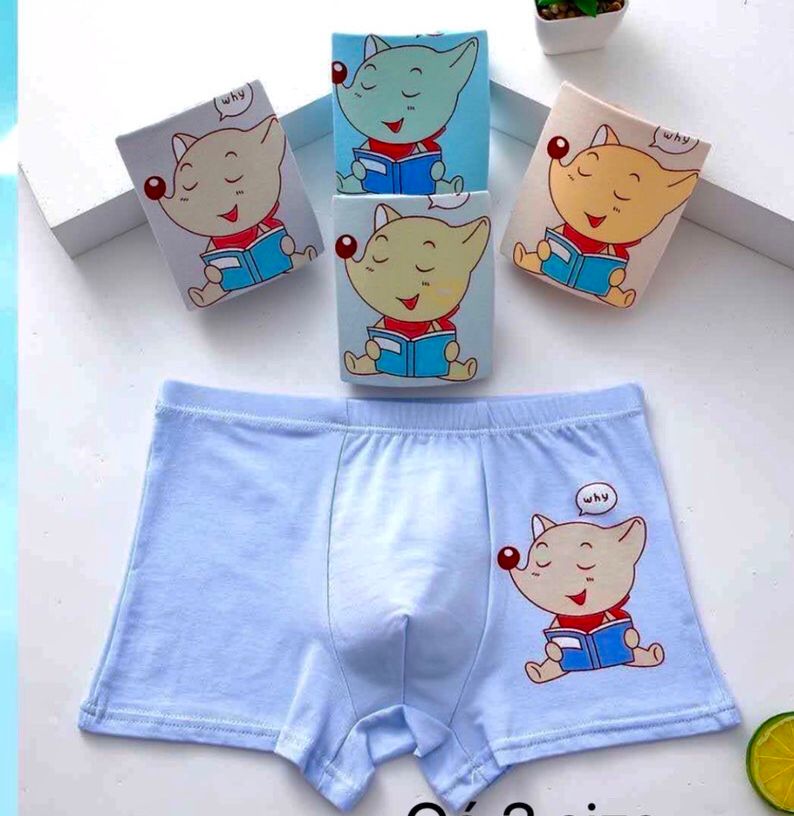 Combo 5 quần chip đùi bé trai cotton in hoạt họa 25 đến 30 ký