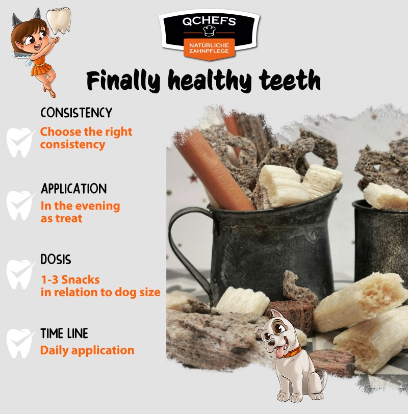 qchefs dental dog chews