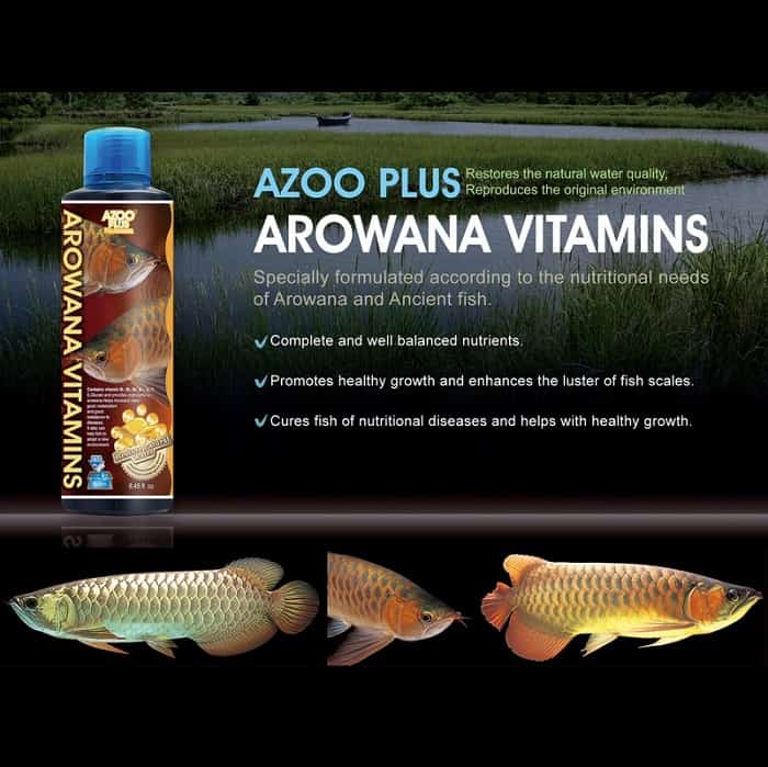 Azoo plus arowana vitamins 250ml tốt cho cá rồng, cá cảnh a394
