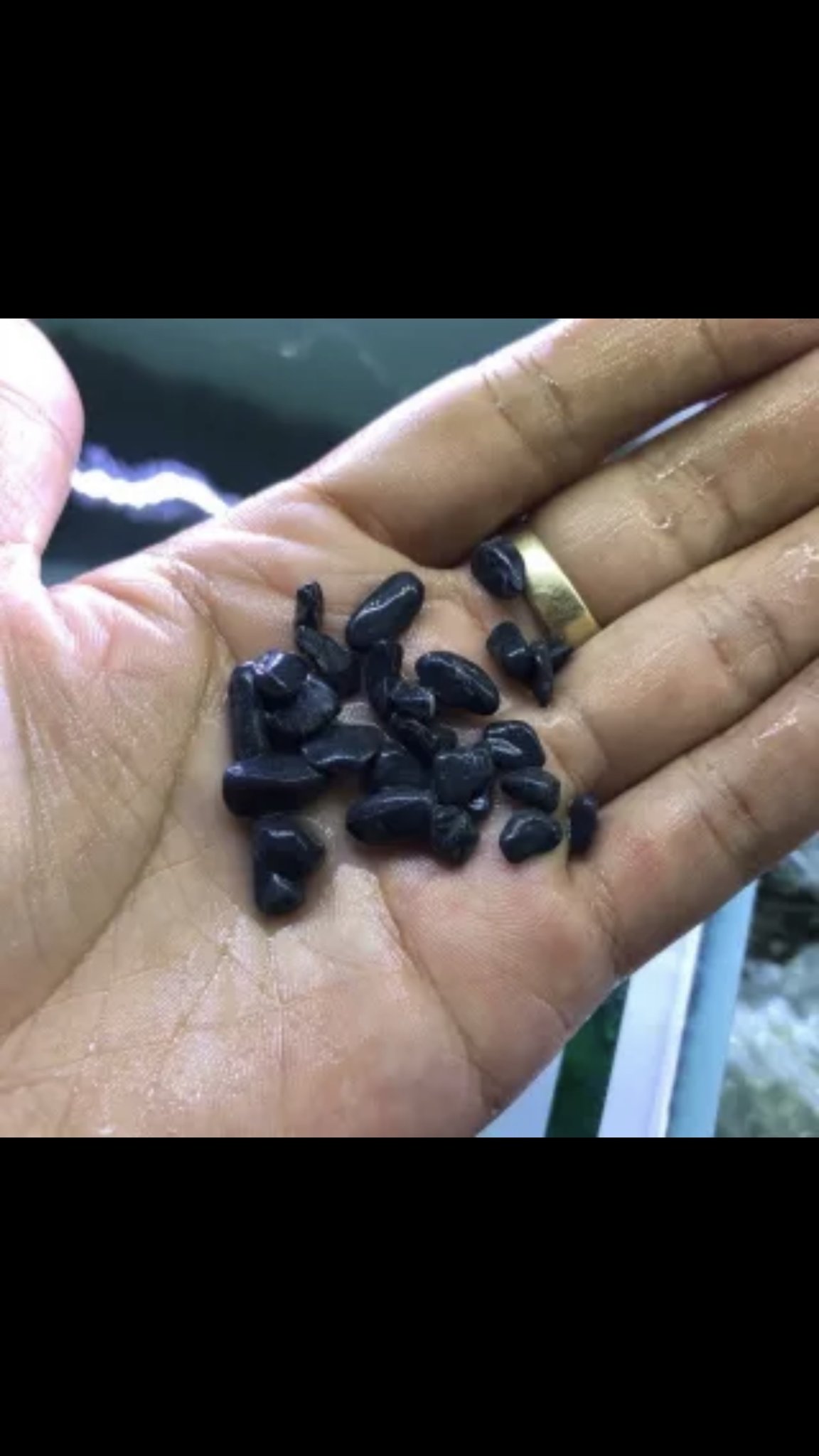 1kg sỏi đen trải nền hồ cá cảnh