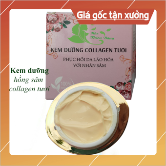 Kem dưỡng hồng sâm collagen chống lão hóa da và dưỡng ẩm da liệu pháp phục hồi da sau tái tạo