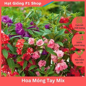 Hạt Giống Hoa Móng Tay (Hoa Bóng Nước) Nhiều Màu Mix (009.F1)