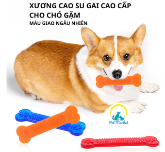 ĐỒ CHƠI XƯƠNG GẶM DẺO DAI CAO SU CHO CHÓ LÀM SẠCH RĂNG ,TRÁNH CẮN ĐỒ ĐẠC (MÀU NGẪU NHIÊN)
