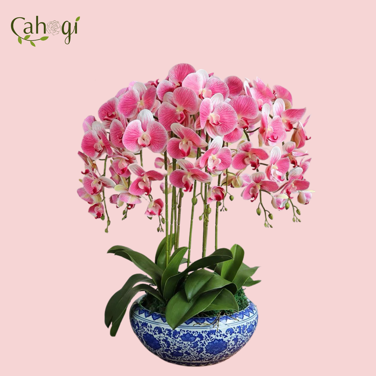 Cành Lan Cao Su Giả 9 Bông Cỡ Lớn