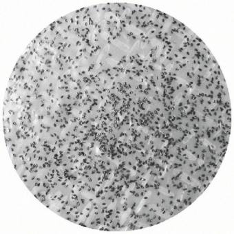 Bánh tráng mè dừa chưa nướng (10 cái mè đen)