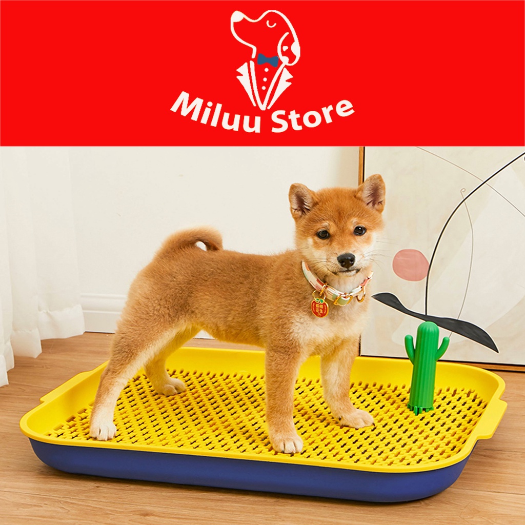 Khay vệ sinh chó, huấn luyện chó đi tiểu đúng chỗ với cọc nhắm xương rồng dễ thương (PKW029-PKW030)