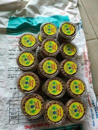 NỤ ĐUỔI MUỖI THẢO DƯỢC