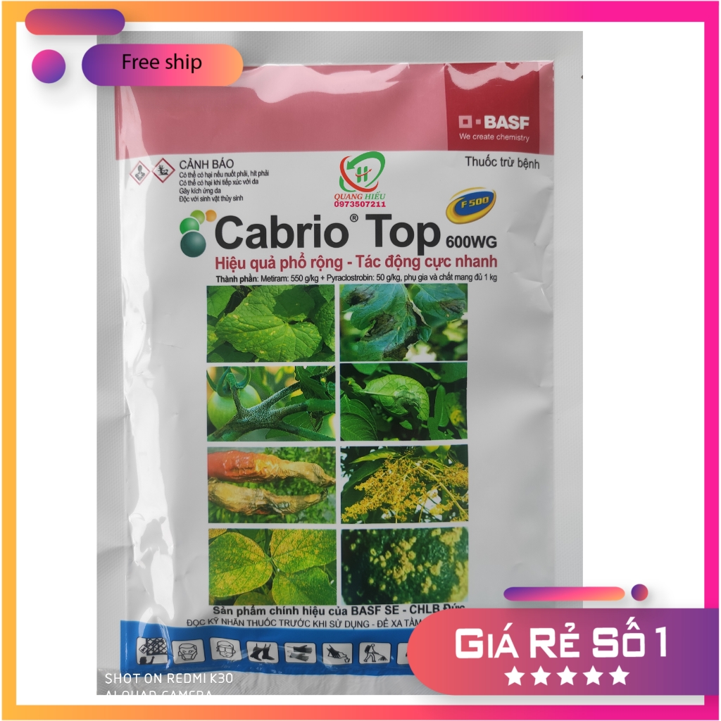 Cabrio top 600wg 100g cty basf đức ngừa các loại nấm, thán thư – sương mai – rỉ sắt – ghẻ sẹo