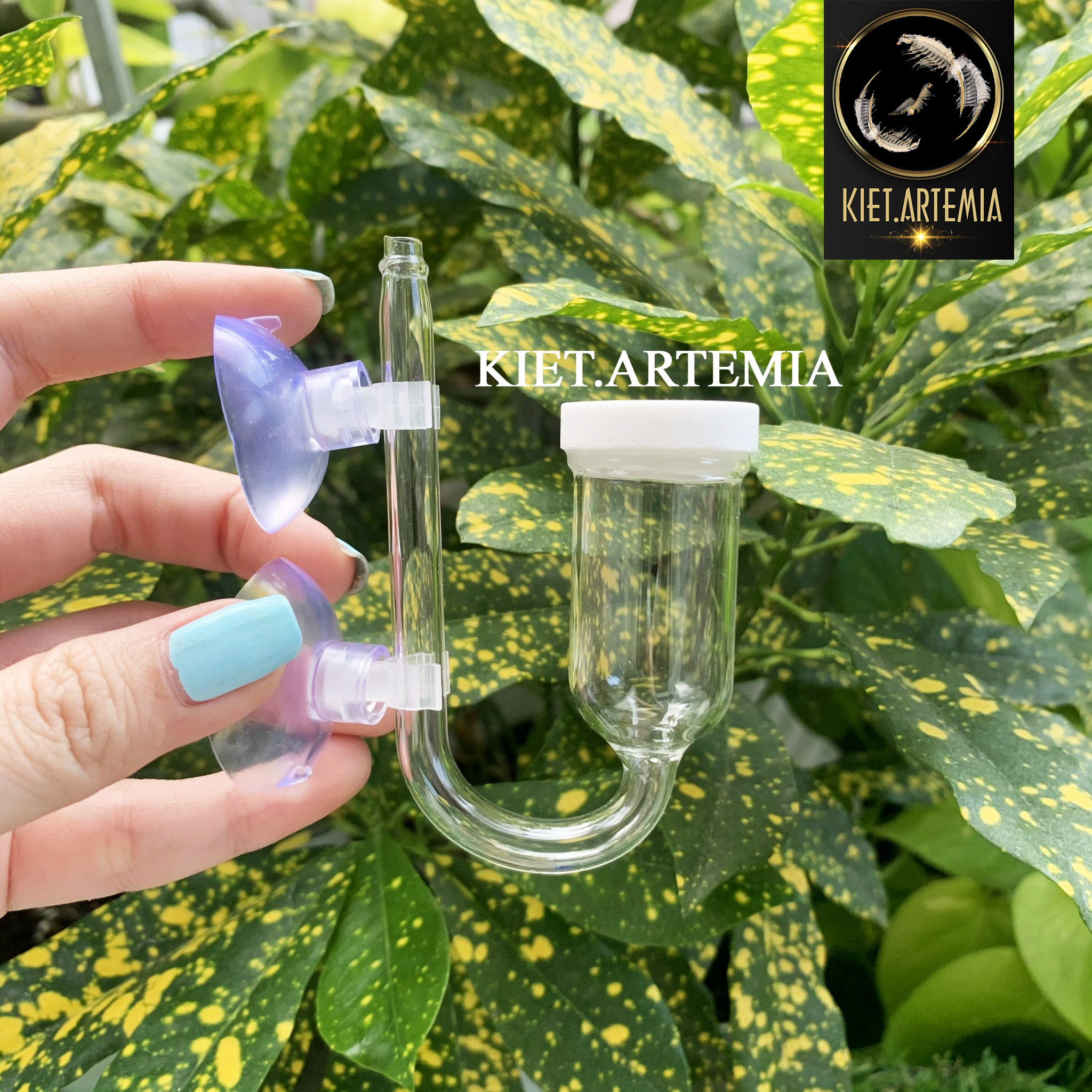 Cốc Sủi Oxy Siêu Mịn Bằng Thuỷ Tinh - Cốc Sủi Oxi Nano, trang trí bể cá thủy sinh