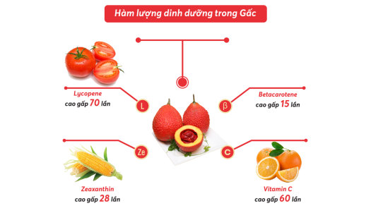 Viên uống dầu gấc Viphar Hộp 100 viên - Đẹp da - VNP